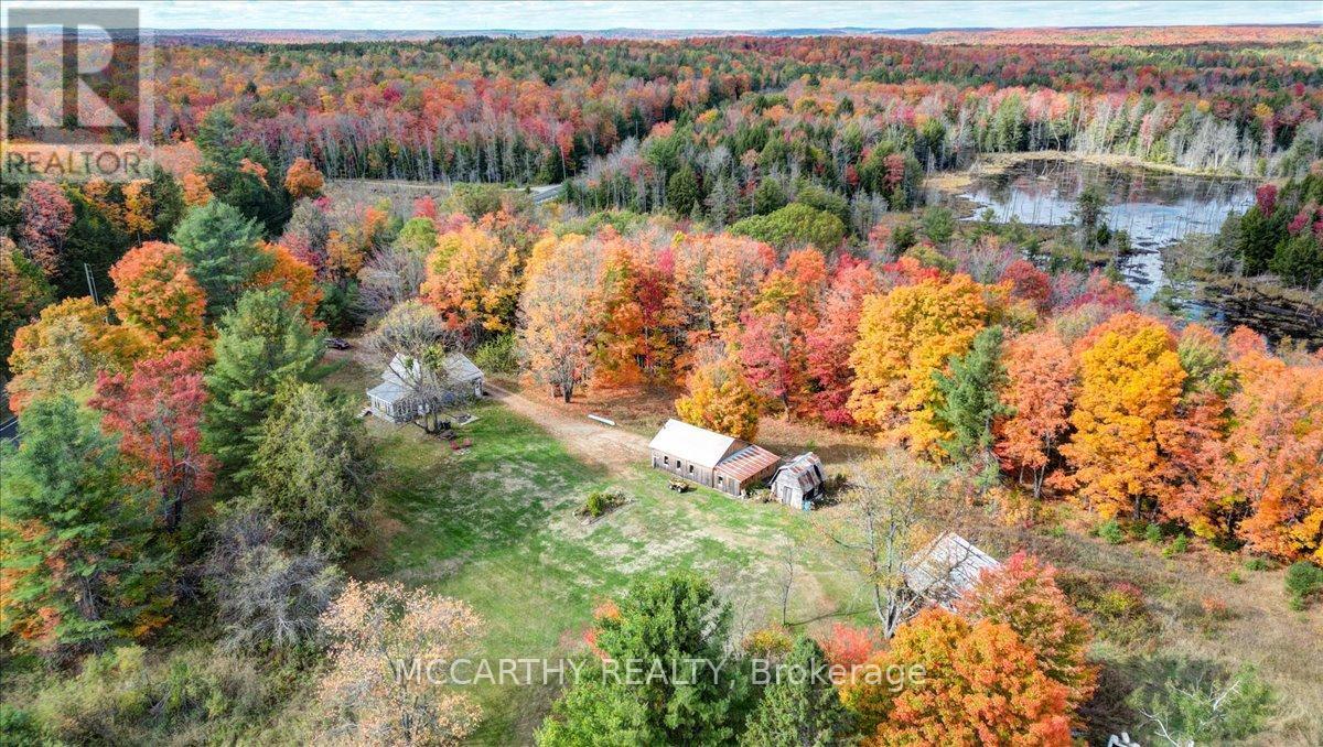 3649 County 504 Road, North Kawartha, Ontario  K0L 1A0 - Photo 46 - X12460718