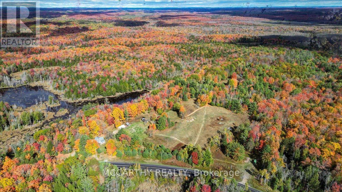 3649 County 504 Road, North Kawartha, Ontario  K0L 1A0 - Photo 47 - X12460718