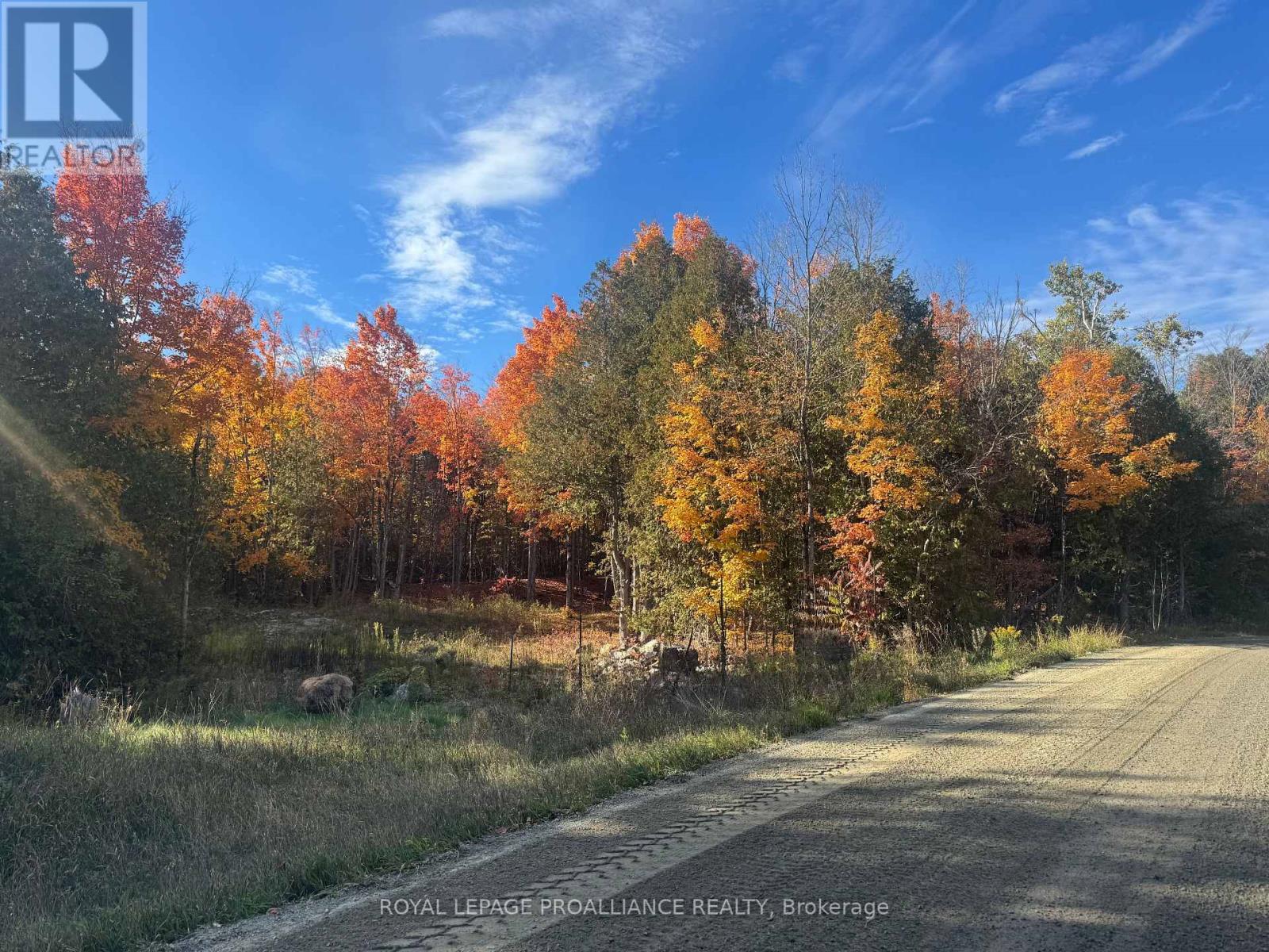Lot 2 Vansickle Road N, Havelock-Belmont-Methuen (Belmont-Methuen), Ontario  K0L 1C0 - Photo 1 - X12460805