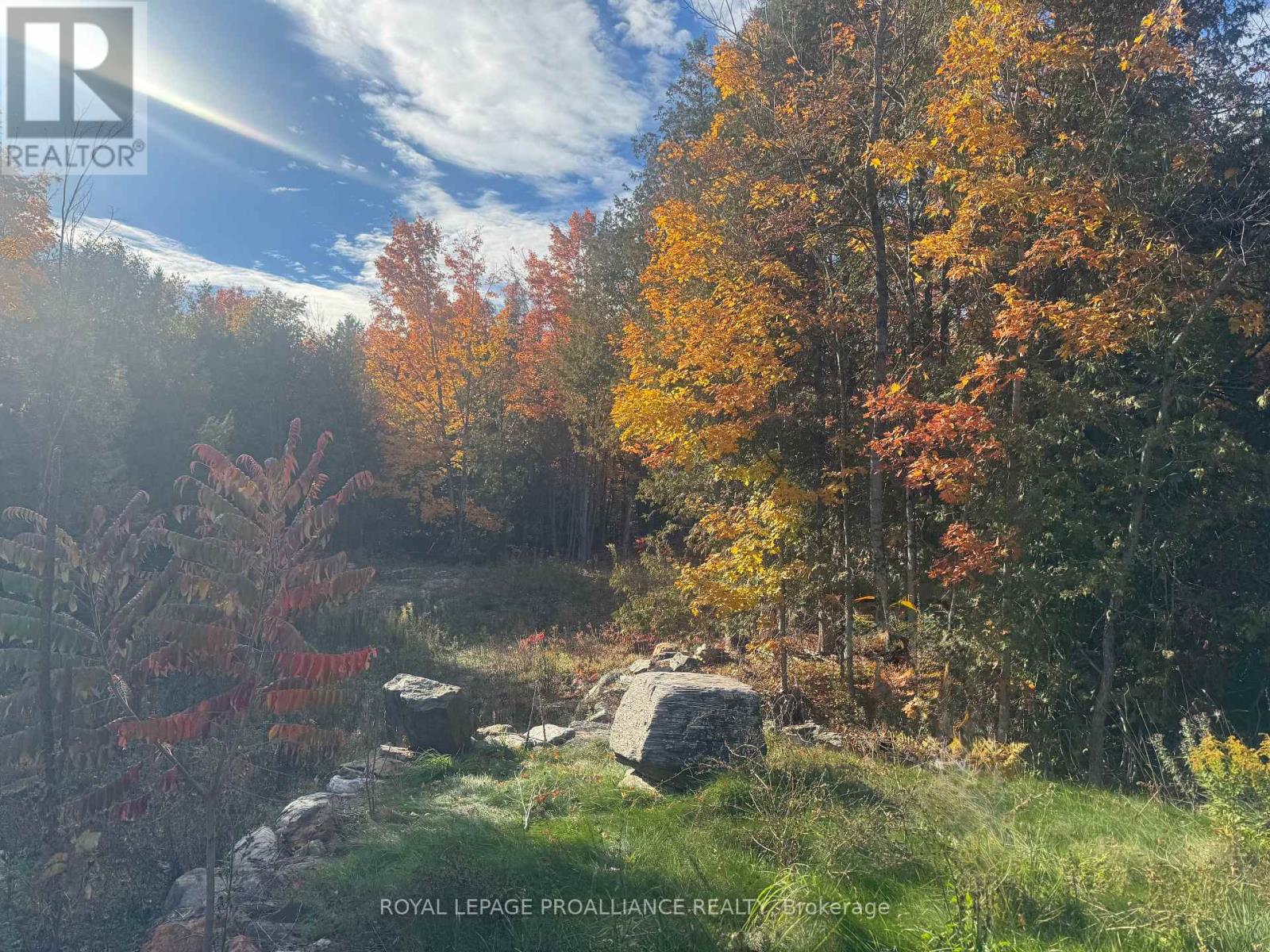 Lot 2 Vansickle Road N, Havelock-Belmont-Methuen (Belmont-Methuen), Ontario  K0L 1C0 - Photo 2 - X12460805