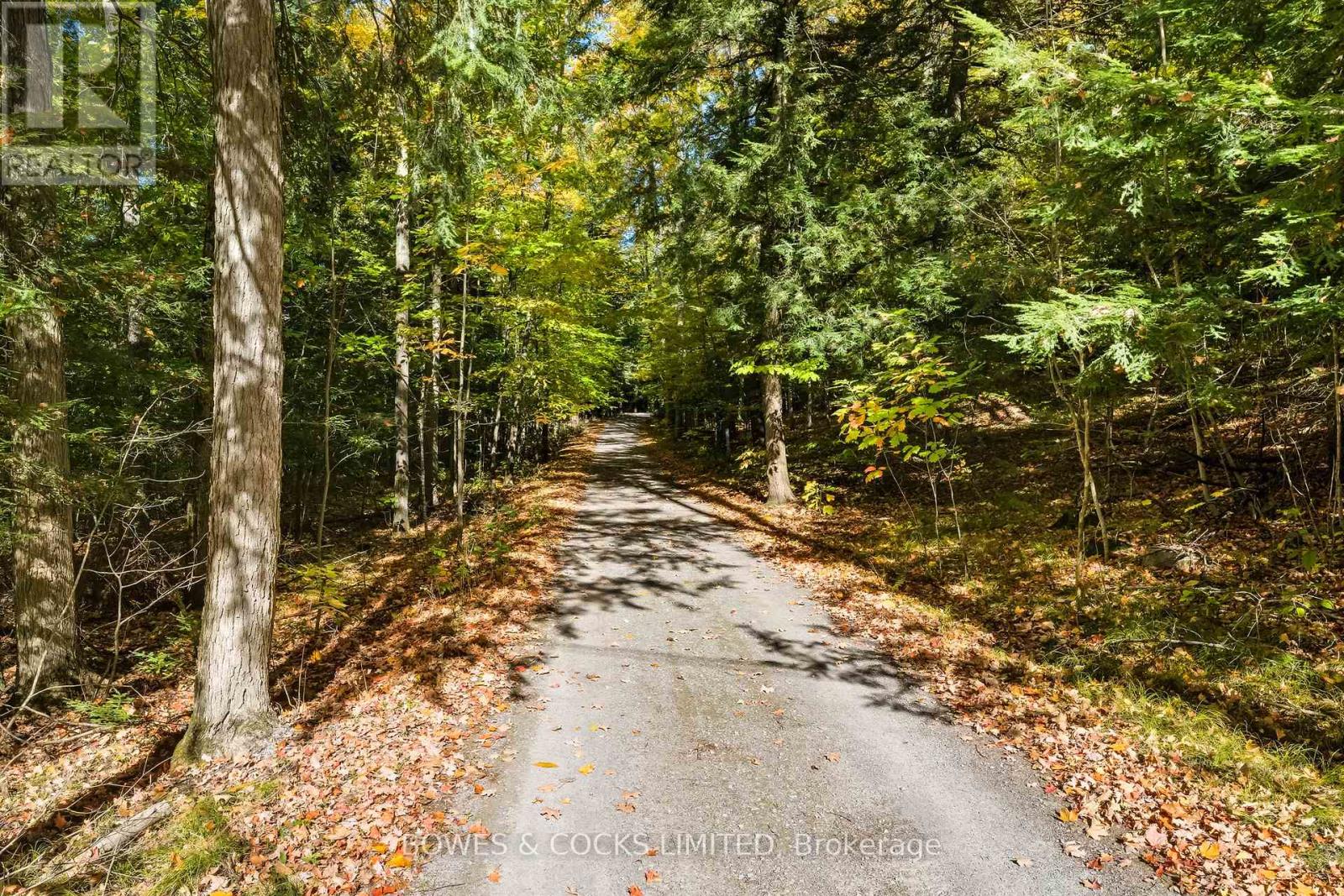 511 Concession Road 12 E, Trent Hills, Ontario  K0L 1Y0 - Photo 45 - X12461051