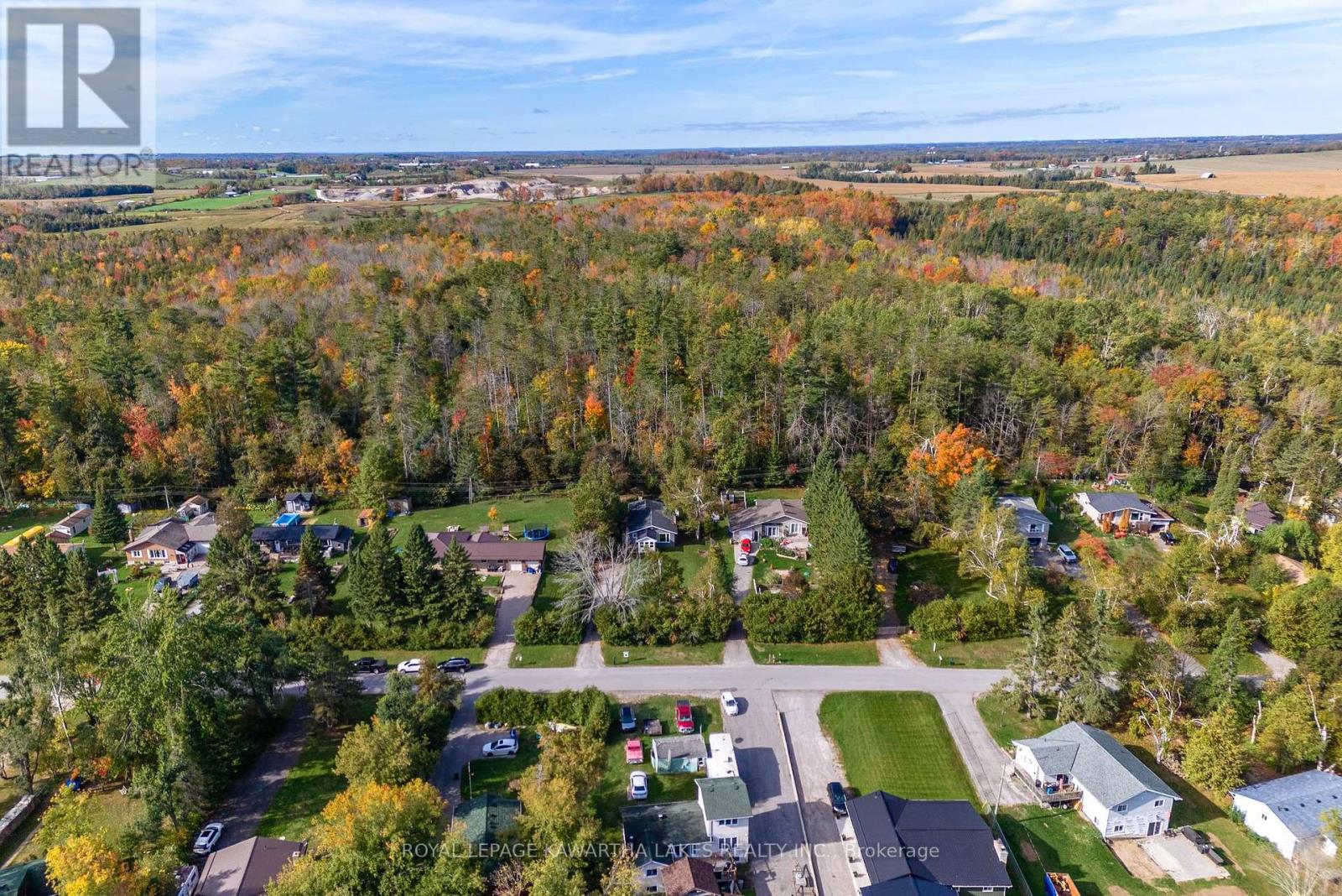35 Woods Avenue, Kawartha Lakes (Emily), Ontario  K0L 2W0 - Photo 3 - X12461417