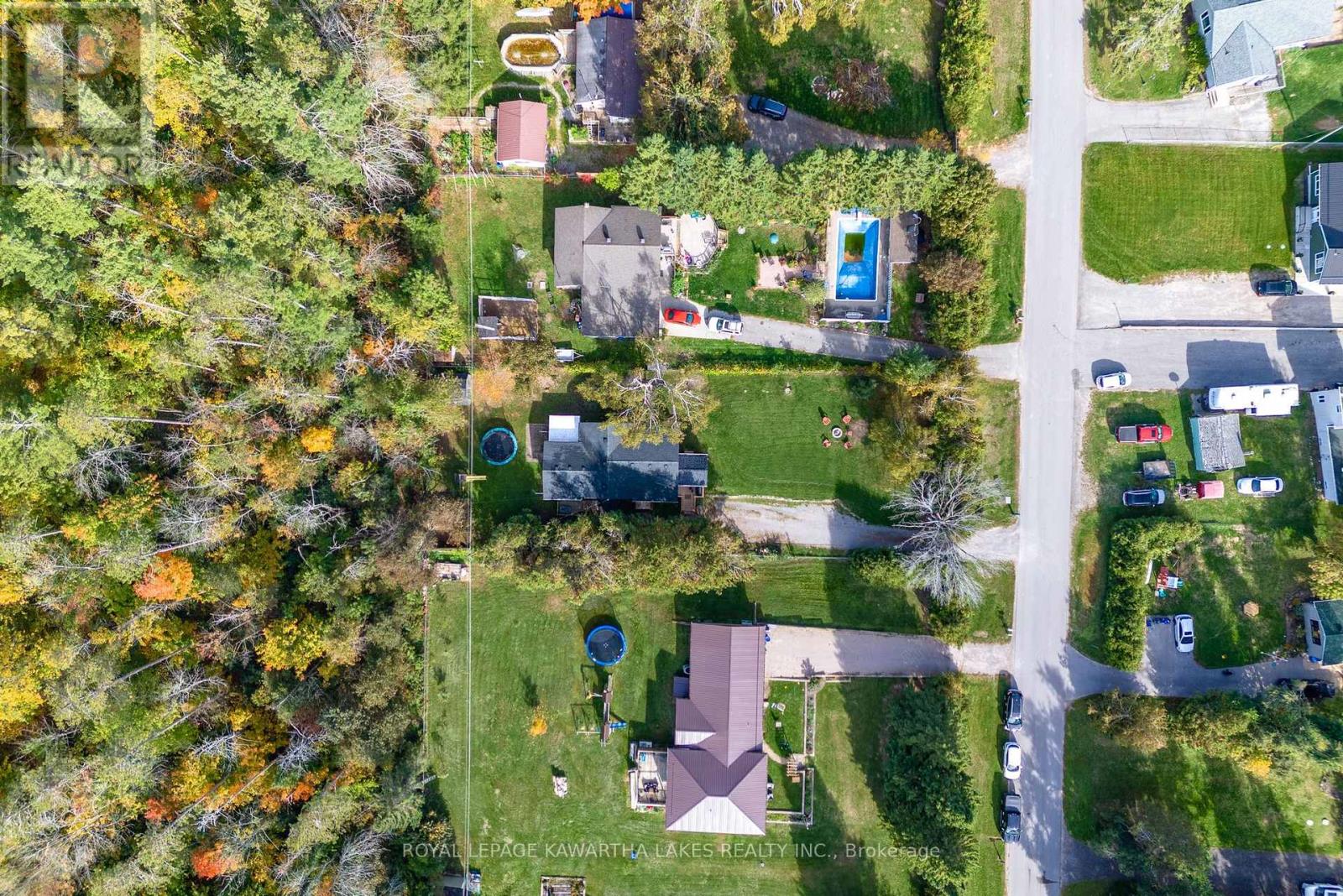 35 Woods Avenue, Kawartha Lakes (Emily), Ontario  K0L 2W0 - Photo 5 - X12461417