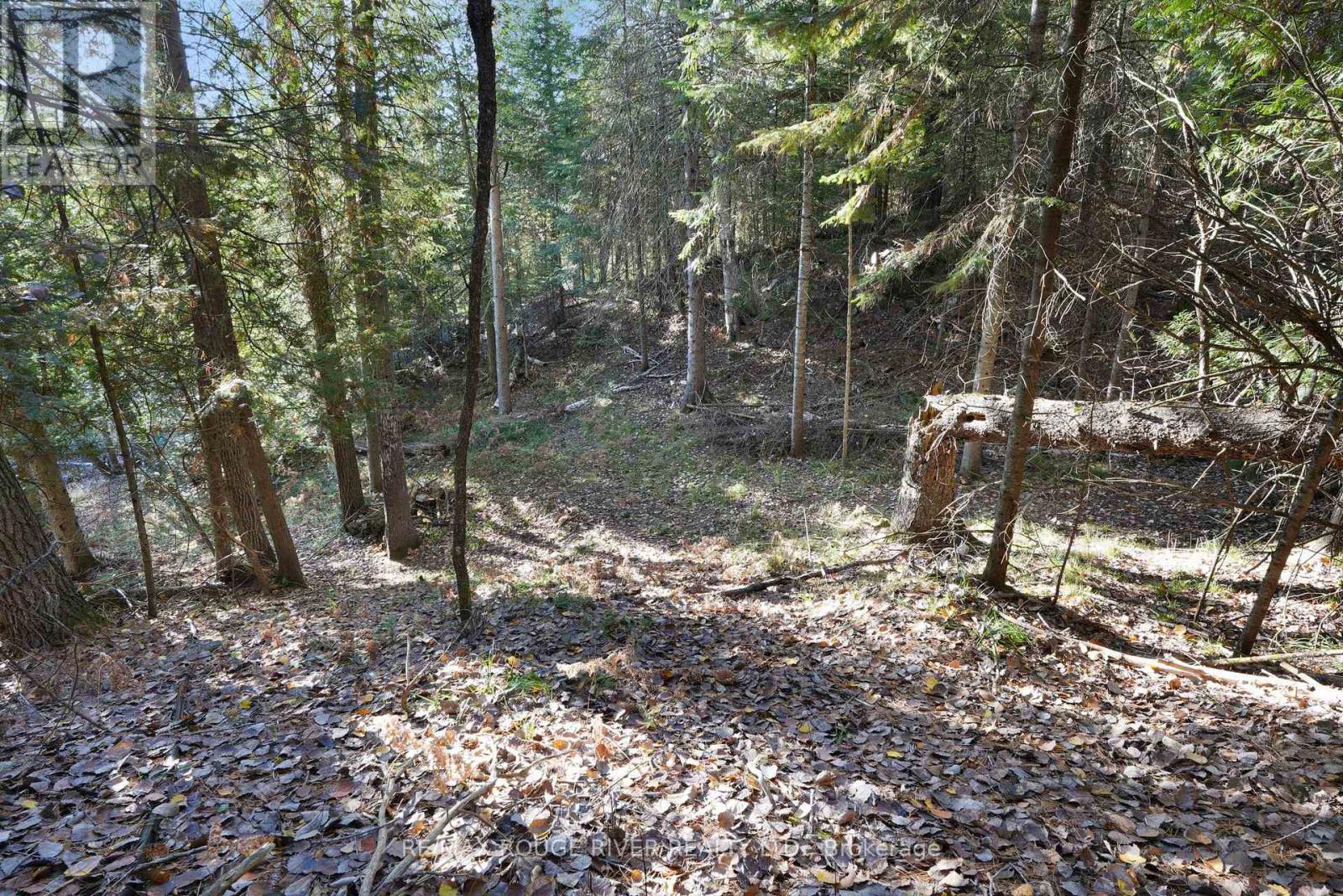23 Egan Lane, Bancroft (Dungannon Ward), Ontario  K0L 2L0 - Photo 32 - X12462256