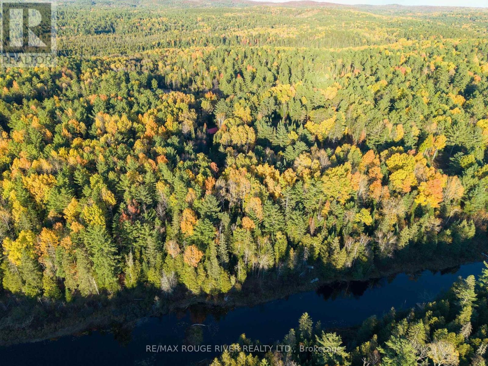23 Egan Lane, Bancroft (Dungannon Ward), Ontario  K0L 2L0 - Photo 4 - X12462256