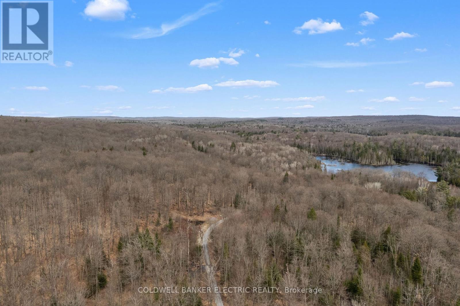 2075 Dyno Road, Highlands East (Cardiff Ward), Ontario  K0L 1C0 - Photo 11 - X12463374