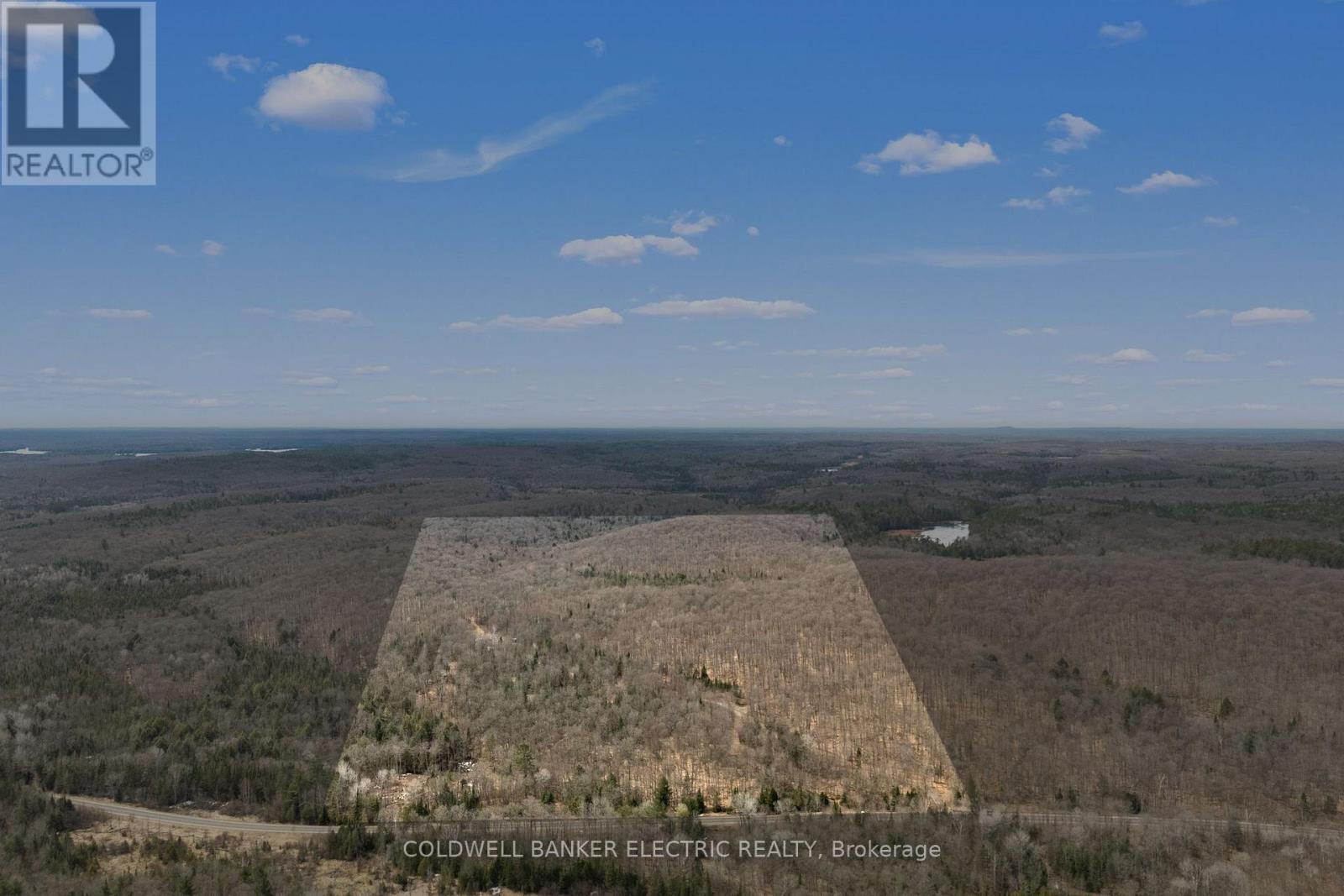 2075 Dyno Road, Highlands East (Cardiff Ward), Ontario  K0L 1C0 - Photo 20 - X12463374