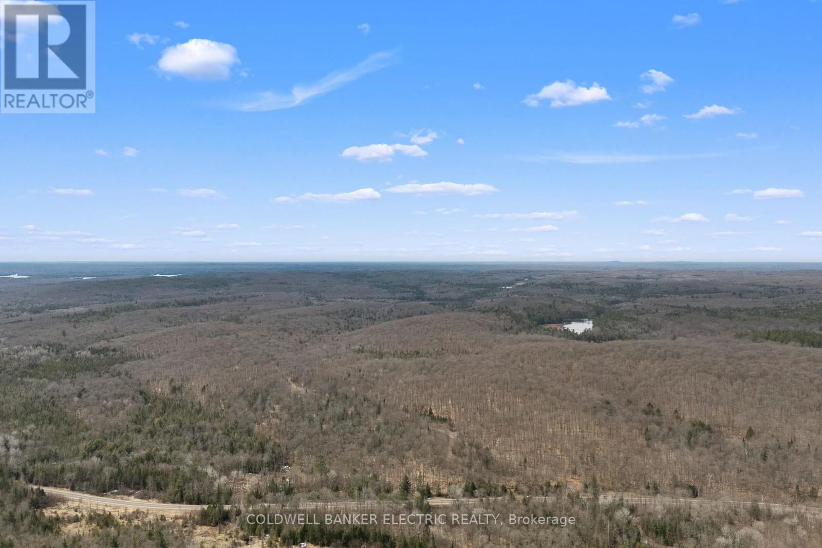 2075 Dyno Road, Highlands East (Cardiff Ward), Ontario  K0L 1C0 - Photo 9 - X12463374