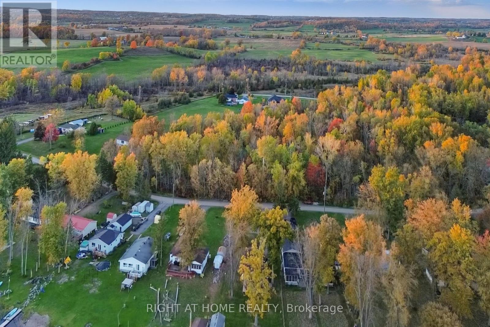 49 River Road W, Trent Hills, Ontario  K0L 1L0 - Photo 29 - X12464925