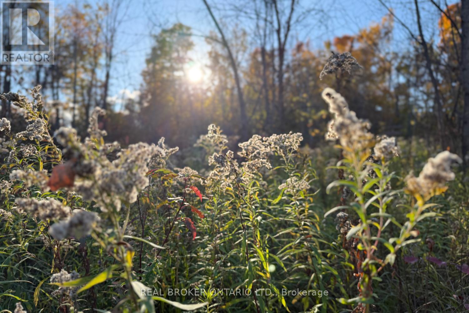 201 Richardson Road, Trent Hills, Ontario  K0L 1Y0 - Photo 42 - X12466040