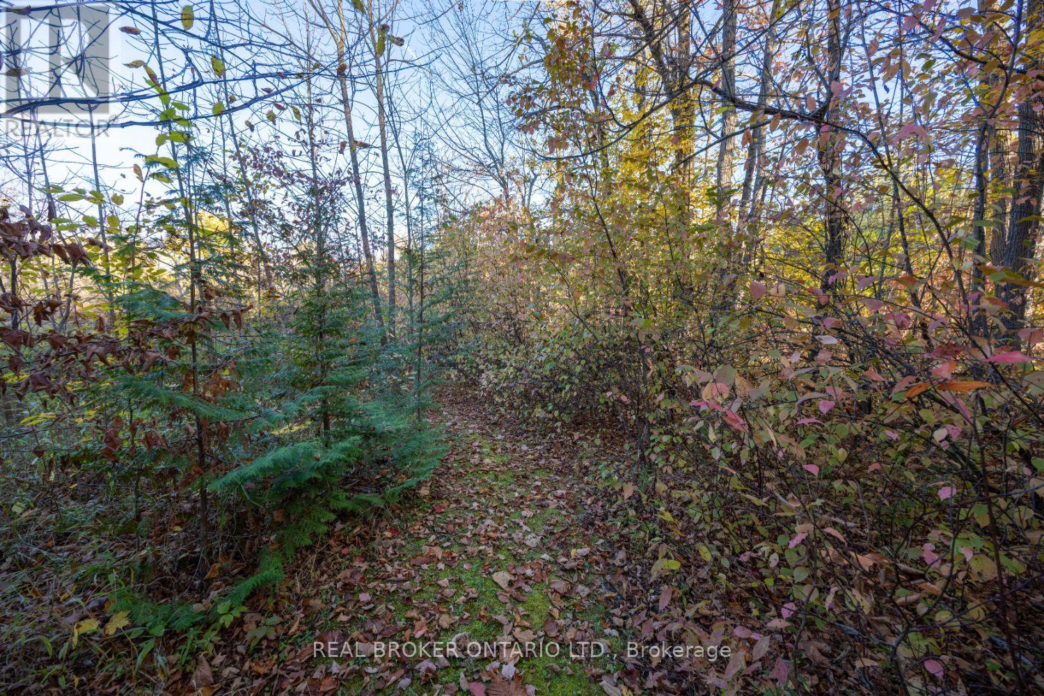 201 Richardson Road, Trent Hills, Ontario  K0L 1Y0 - Photo 44 - X12466040