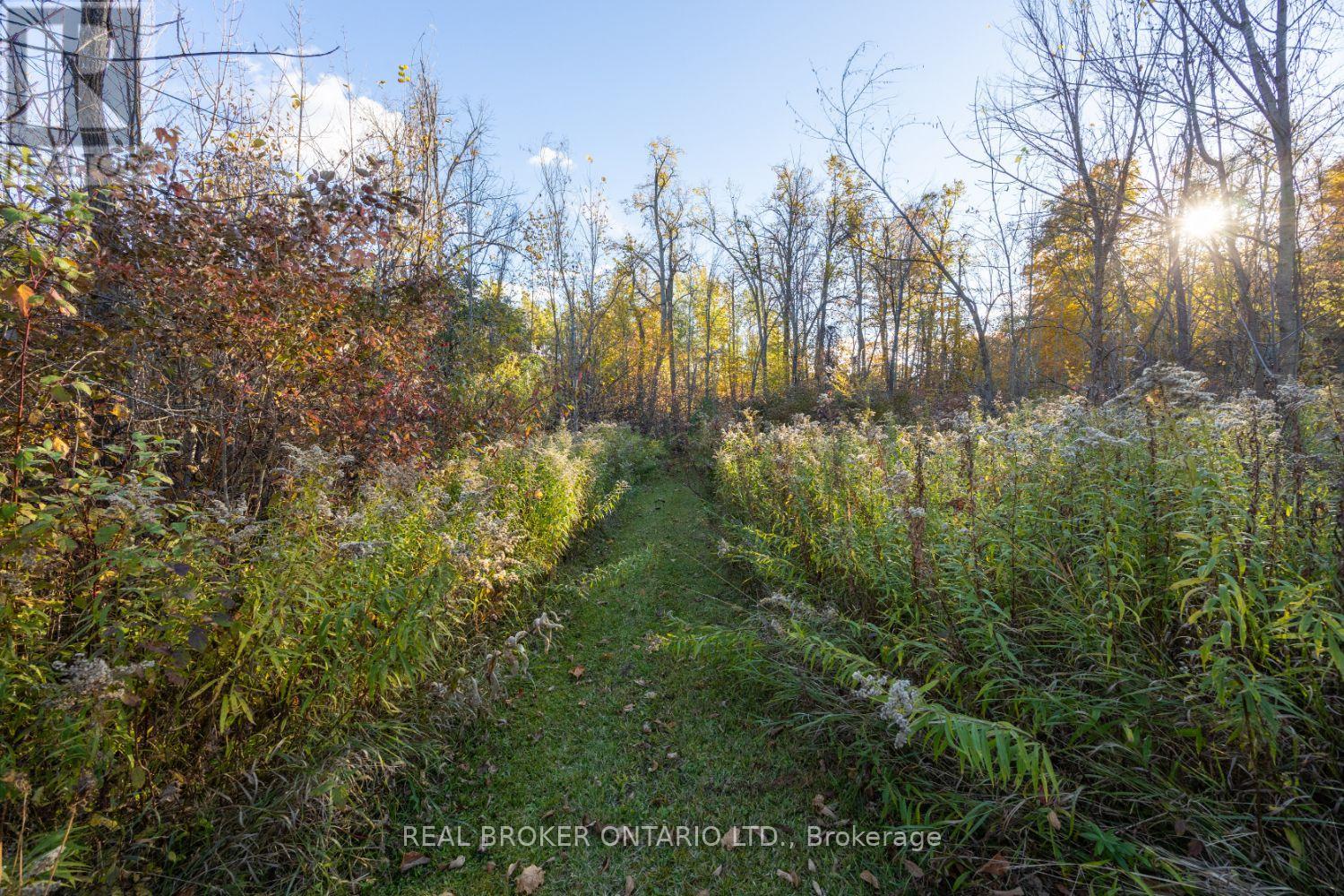 201 Richardson Road, Trent Hills, Ontario  K0L 1Y0 - Photo 45 - X12466040