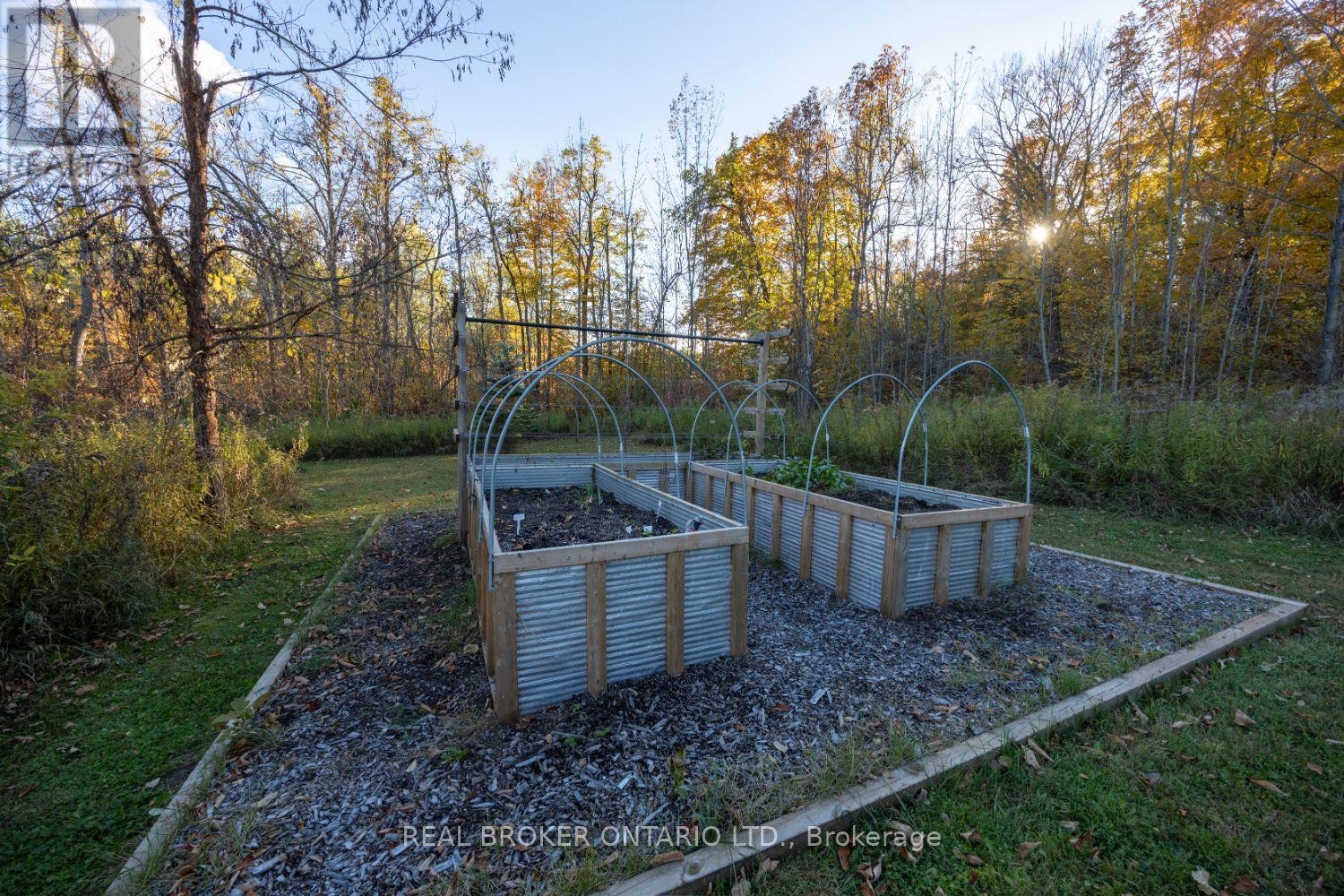 201 Richardson Road, Trent Hills, Ontario  K0L 1Y0 - Photo 48 - X12466040