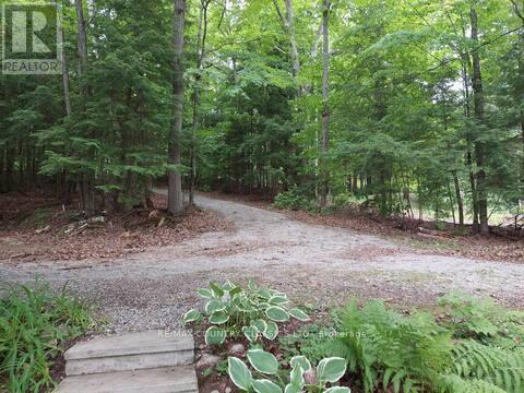 1216 Lake Lorraine Road, Highlands East (Monmouth), Ontario  K0L 2Y0 - Photo 8 - X12466595