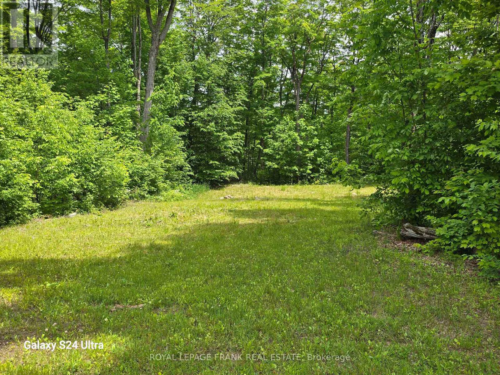 1097 Cheddar Road, Highlands East (Cardiff Ward), Ontario  K0L 1M0 - Photo 12 - X12466875