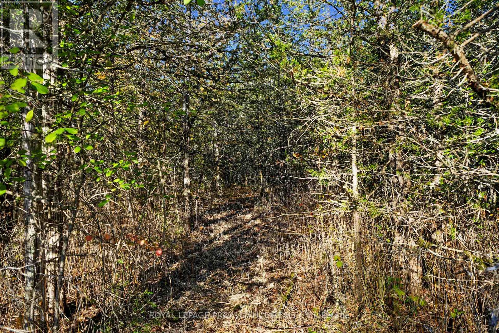 Lot 2 Hillside Drive, Trent Hills, Ontario  K0L 1L0 - Photo 28 - X12467955