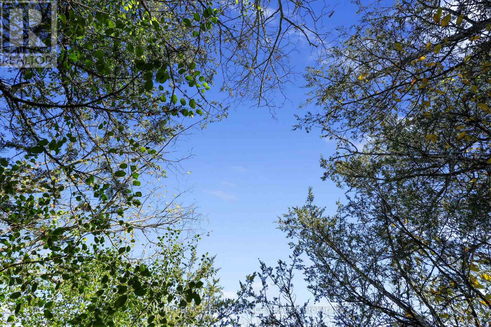 Lot 2 Hillside Drive, Trent Hills, Ontario  K0L 1L0 - Photo 30 - X12467955