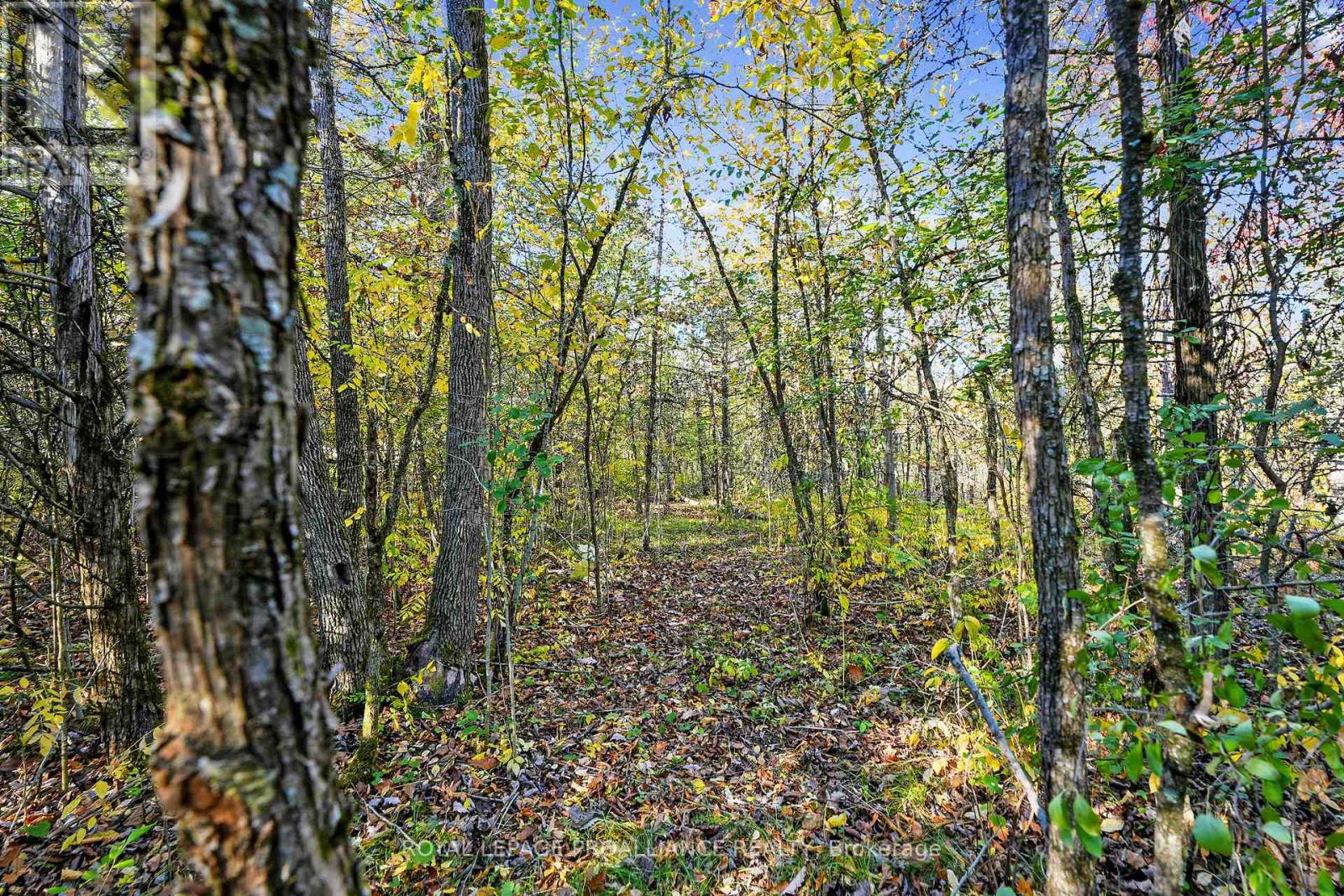 Lot 2 Hillside Drive, Trent Hills, Ontario  K0L 1L0 - Photo 31 - X12467955