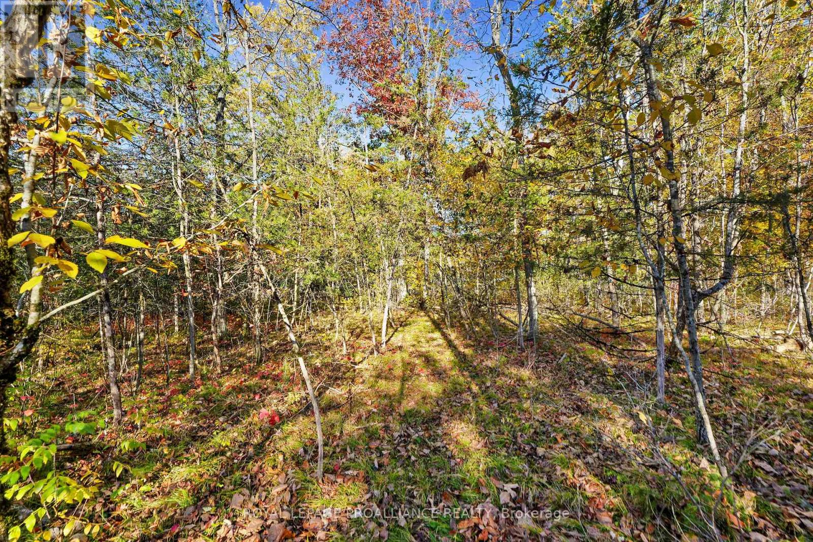 Lot 2 Hillside Drive, Trent Hills, Ontario  K0L 1L0 - Photo 32 - X12467955