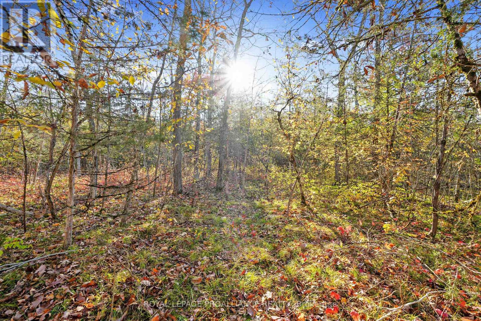 Lot 2 Hillside Drive, Trent Hills, Ontario  K0L 1L0 - Photo 33 - X12467955
