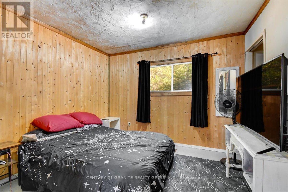 482 Old L'amable Road, Bancroft (Dungannon Ward), Ontario  K0L 1C0 - Photo 21 - X12468588