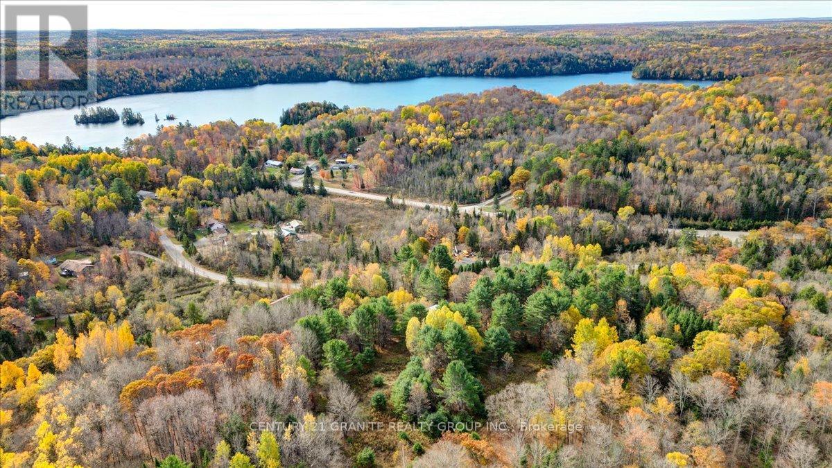 482 Old L'amable Road, Bancroft (Dungannon Ward), Ontario  K0L 1C0 - Photo 47 - X12468588