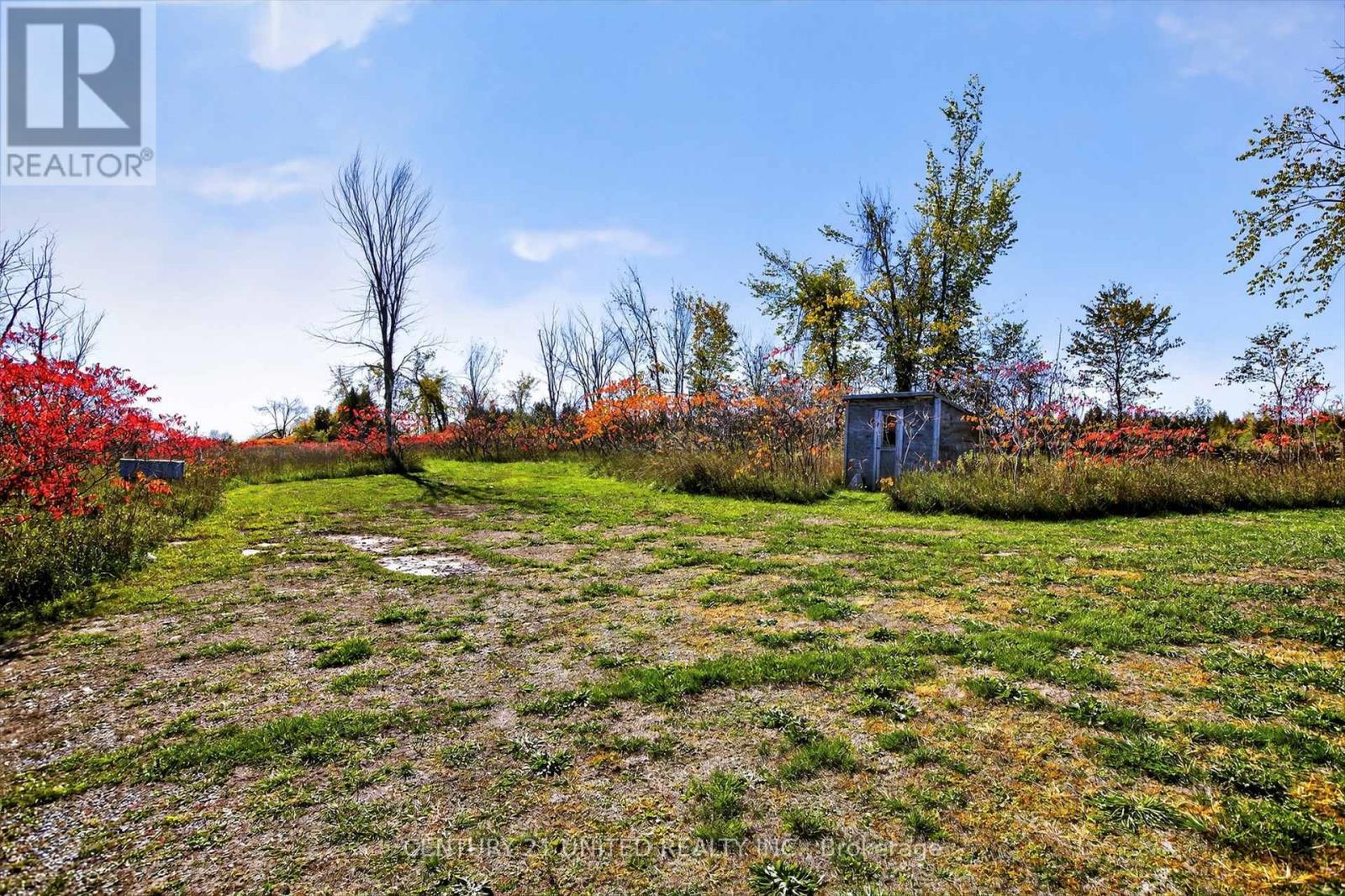 686 Douro Fourth Line, Douro-Dummer, Ontario  K0L 2H0 - Photo 35 - X12468714