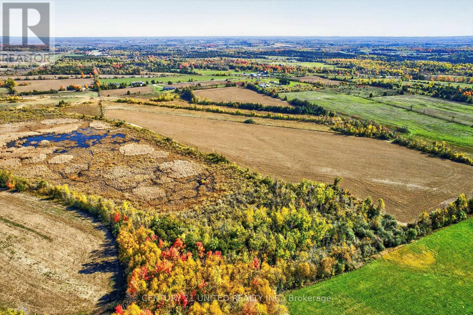 686 Douro Fourth Line, Douro-Dummer, Ontario  K0L 2H0 - Photo 40 - X12468714
