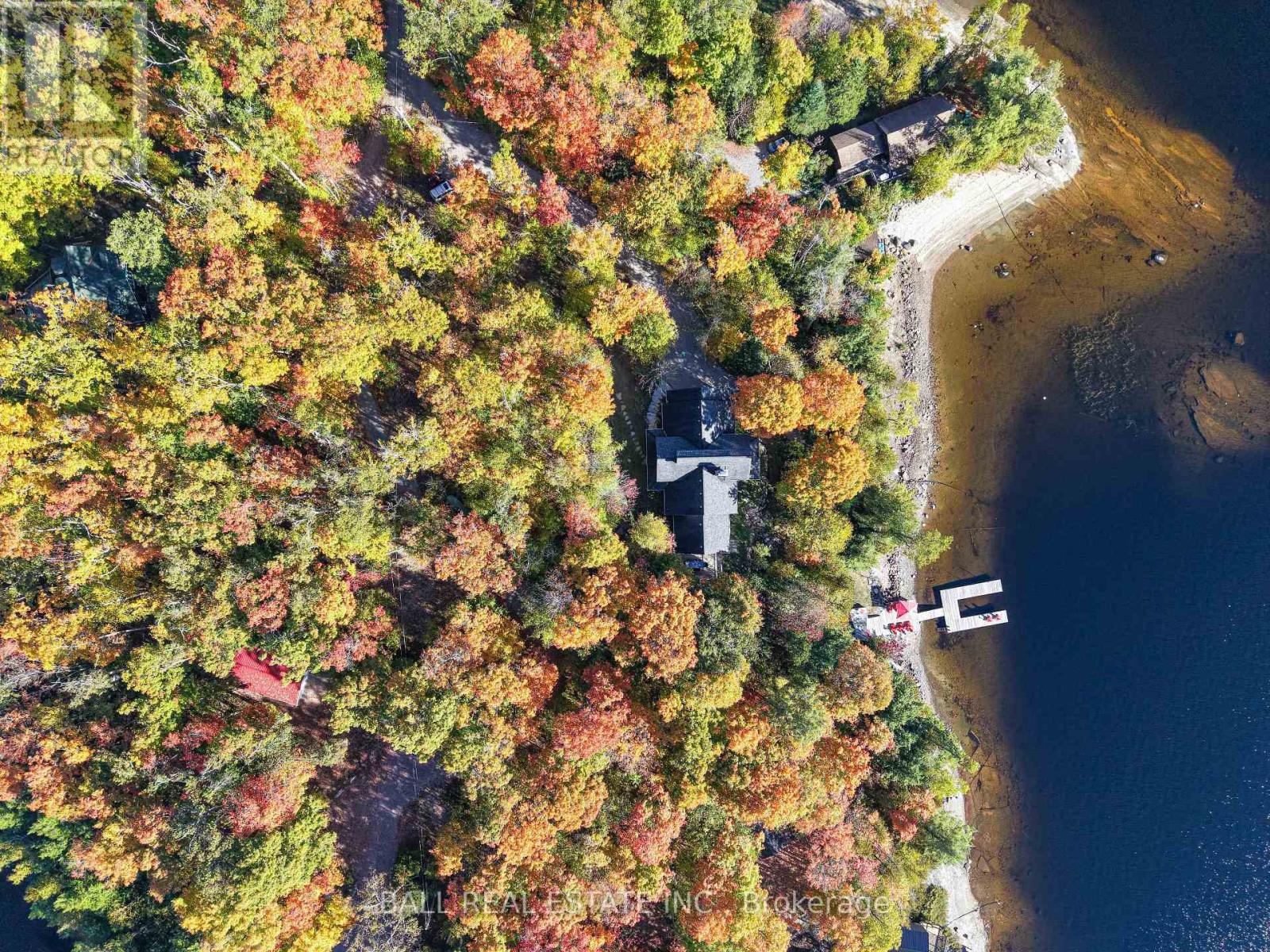 55 Fire Route 209, Trent Lakes, Ontario  K0L 1J0 - Photo 48 - X12470261