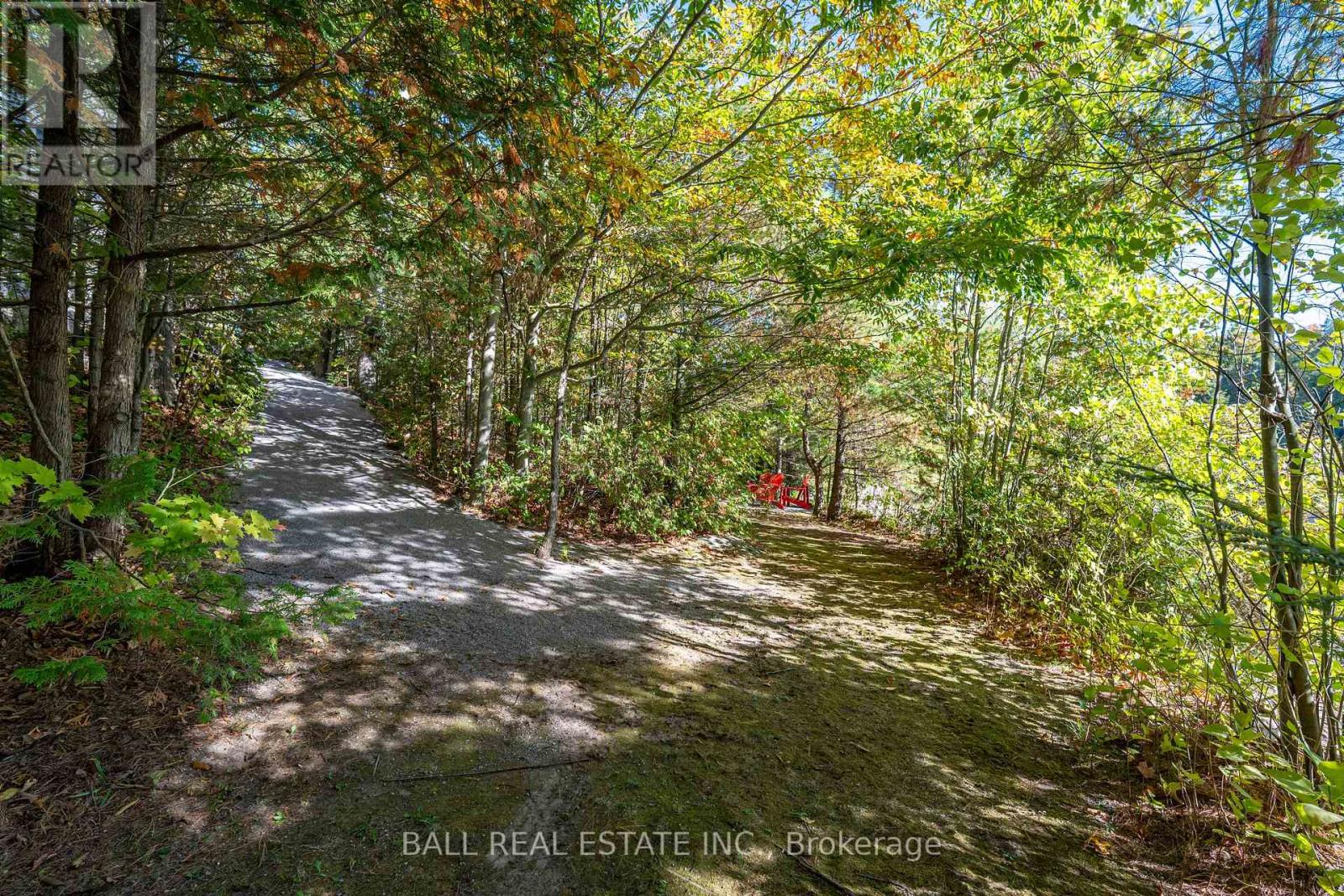 55 Fire Route 209, Trent Lakes, Ontario  K0L 1J0 - Photo 5 - X12470261