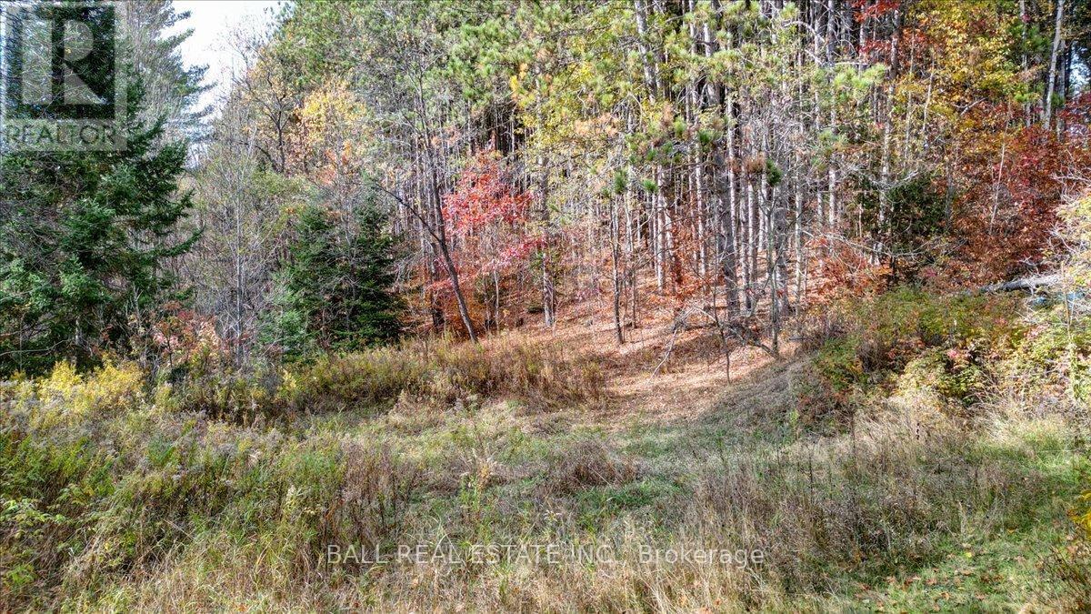 463 Quarry Road, Bancroft (Dungannon Ward), Ontario  K0L 1C0 - Photo 40 - X12471571