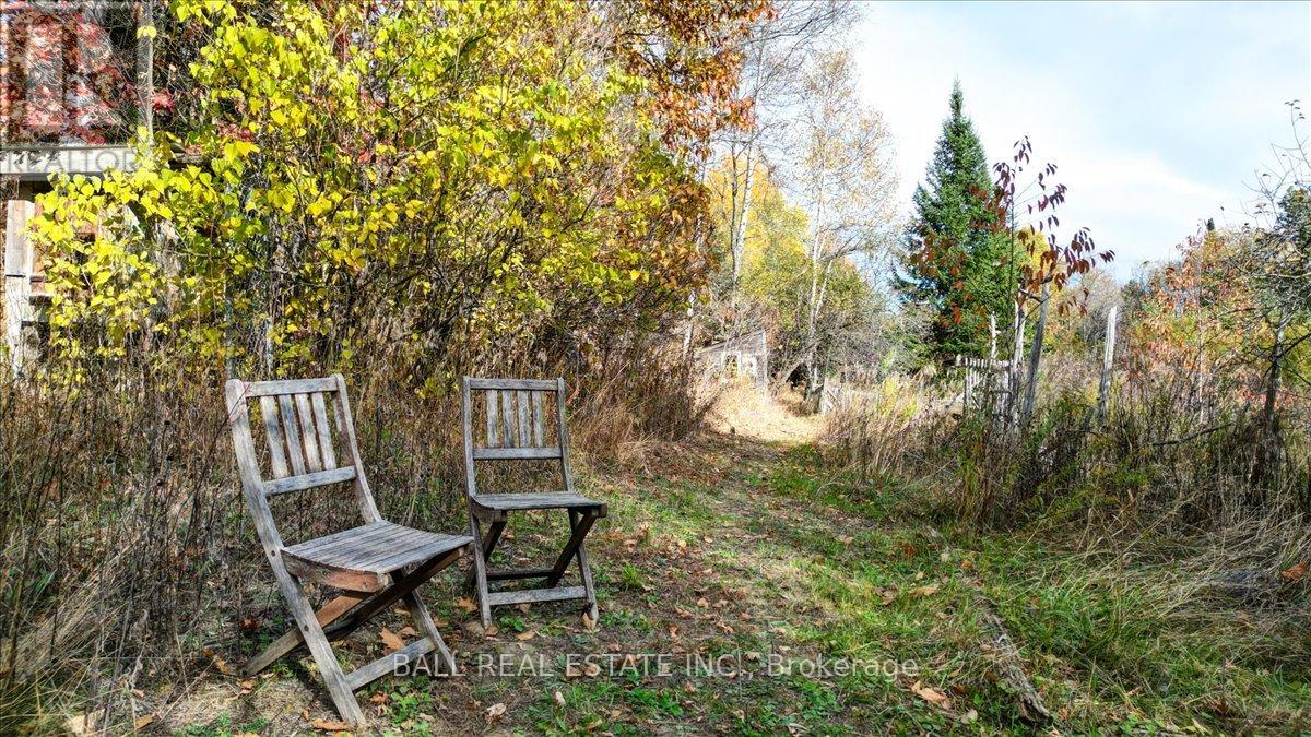 463 Quarry Road, Bancroft (Dungannon Ward), Ontario  K0L 1C0 - Photo 42 - X12471571