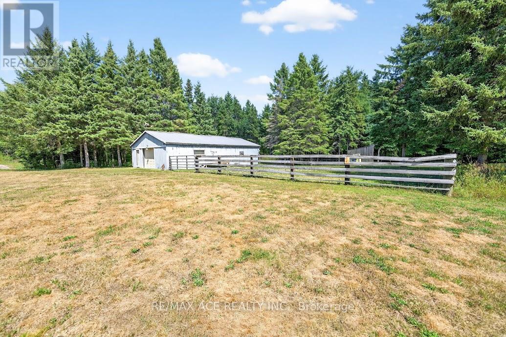 2425 North School Road, Havelock-Belmont-Methuen (Havelock), Ontario  K0L 1Z0 - Photo 27 - X12472518