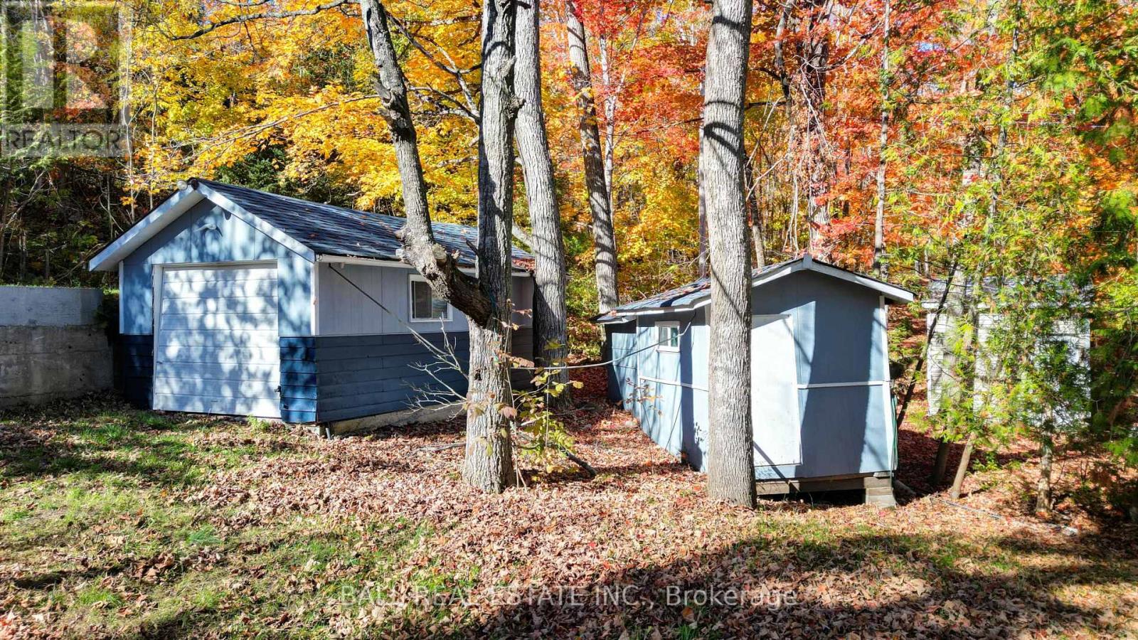 1903 White Lake Road West Road, Douro-Dummer, Ontario  K0L 2H0 - Photo 26 - X12473198