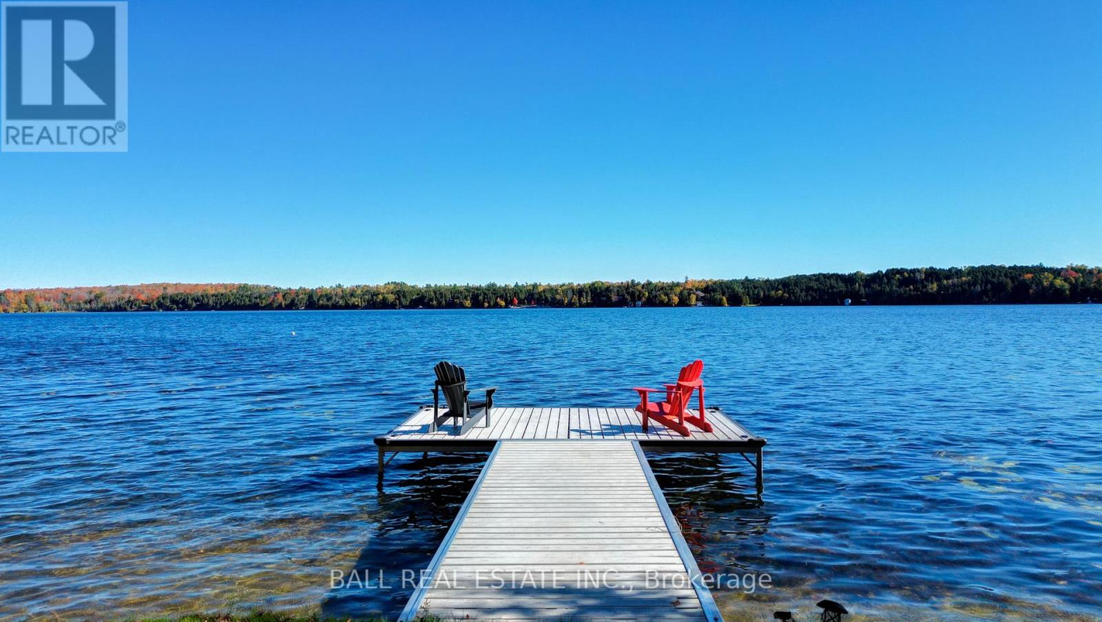 1903 White Lake Road West Road, Douro-Dummer, Ontario  K0L 2H0 - Photo 32 - X12473198