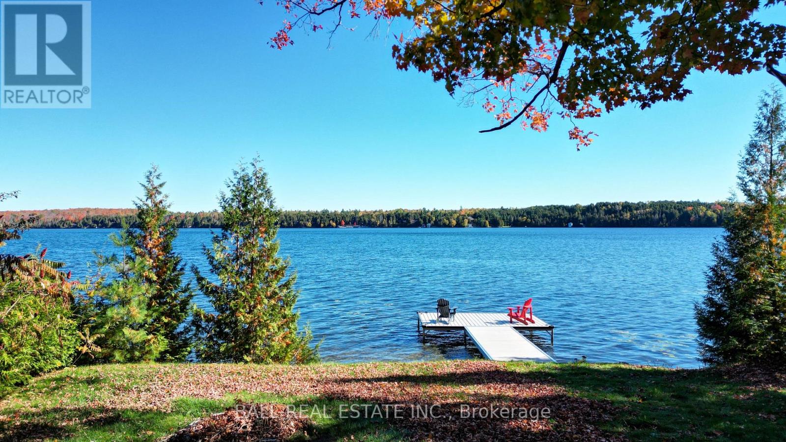 1903 White Lake Road West Road, Douro-Dummer, Ontario  K0L 2H0 - Photo 38 - X12473198