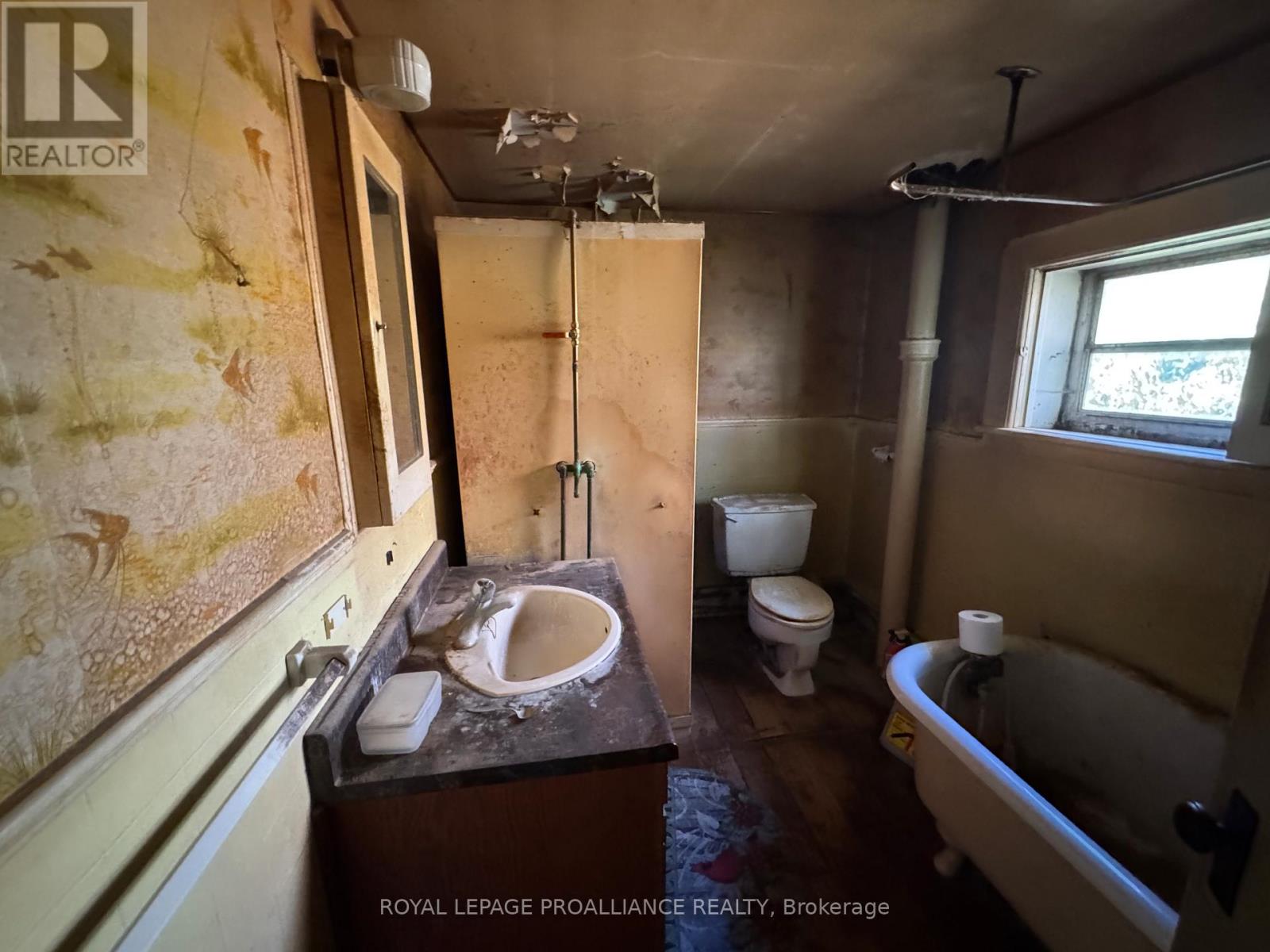 3 Gore Street, Kawartha Lakes (Manvers), Ontario  L0A 1A0 - Photo 22 - X12474153