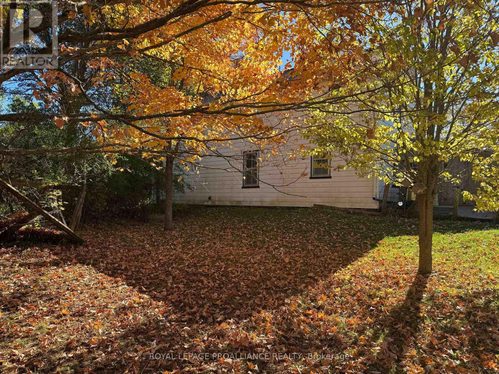 3 Gore Street, Kawartha Lakes (Manvers), Ontario  L0A 1A0 - Photo 23 - X12474153