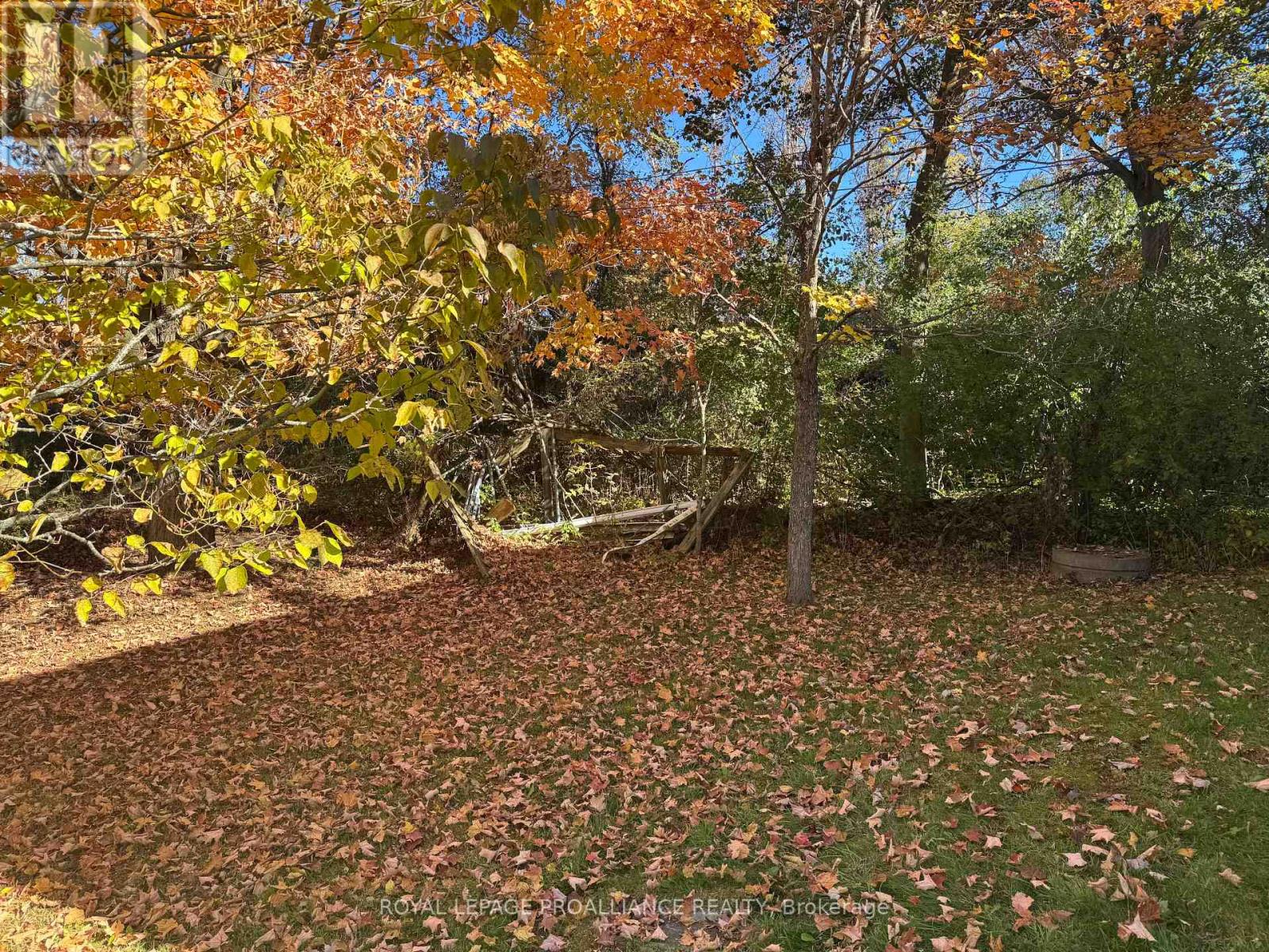 3 Gore Street, Kawartha Lakes (Manvers), Ontario  L0A 1A0 - Photo 25 - X12474153