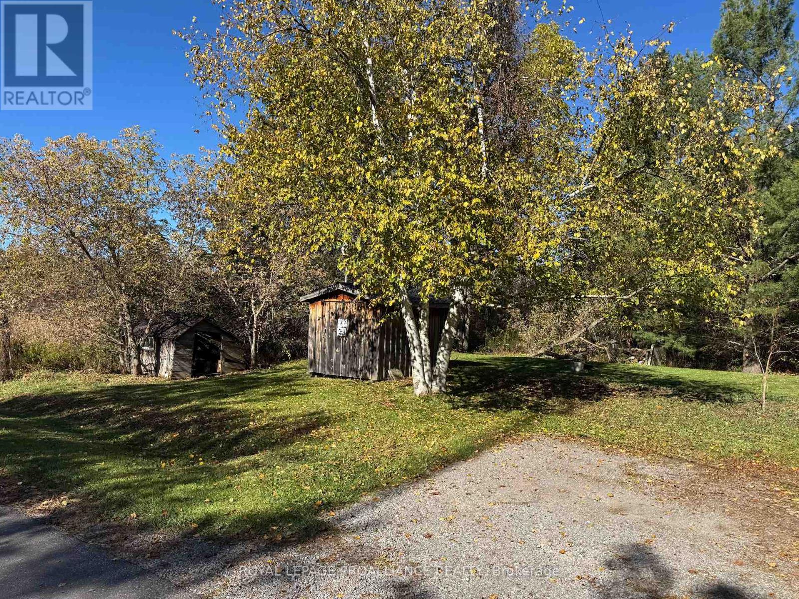 3 Gore Street, Kawartha Lakes (Manvers), Ontario  L0A 1A0 - Photo 28 - X12474153