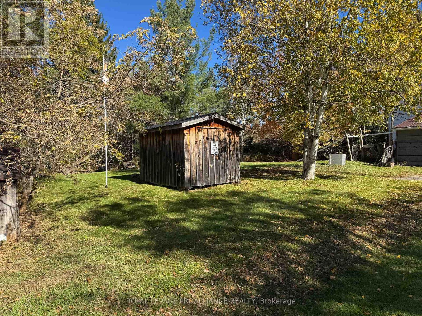 3 Gore Street, Kawartha Lakes (Manvers), Ontario  L0A 1A0 - Photo 30 - X12474153