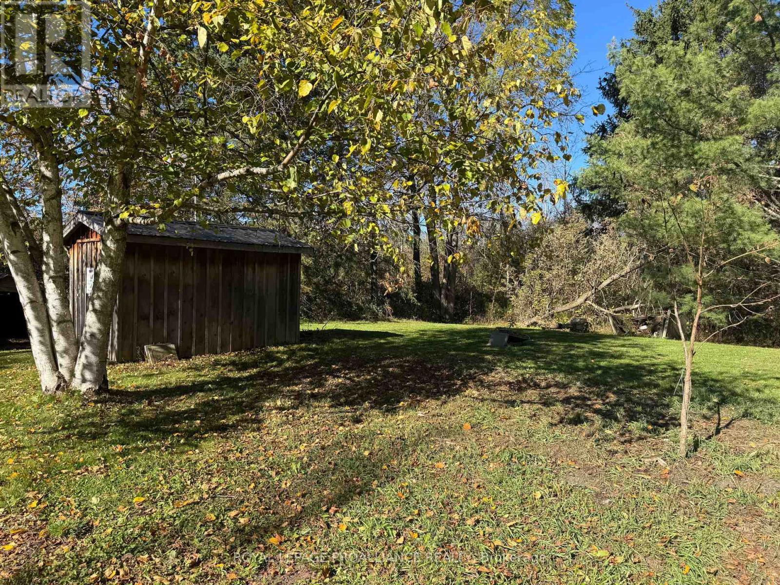 3 Gore Street, Kawartha Lakes (Manvers), Ontario  L0A 1A0 - Photo 31 - X12474153