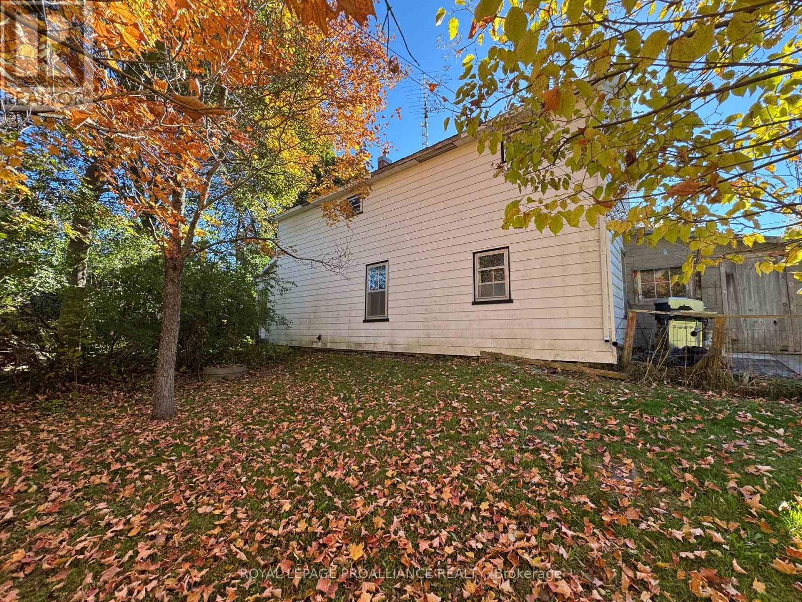 3 Gore Street, Kawartha Lakes (Manvers), Ontario  L0A 1A0 - Photo 6 - X12474153