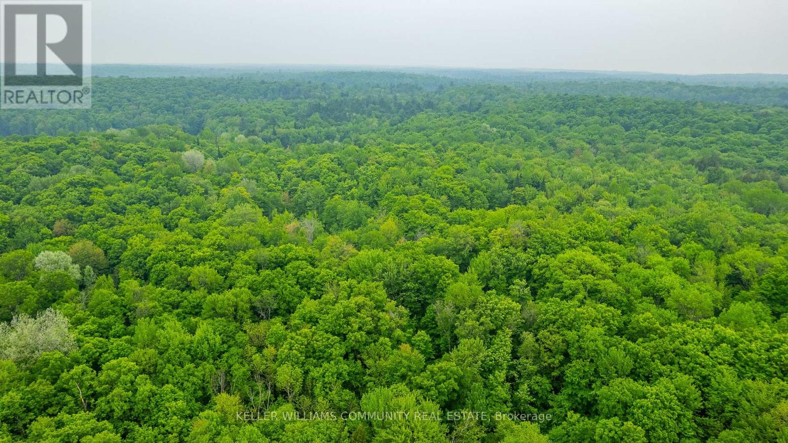 1304 Lower Monmouth Lake Road, Highlands East (Monmouth), Ontario  K0L 2Y0 - Photo 18 - X12474451
