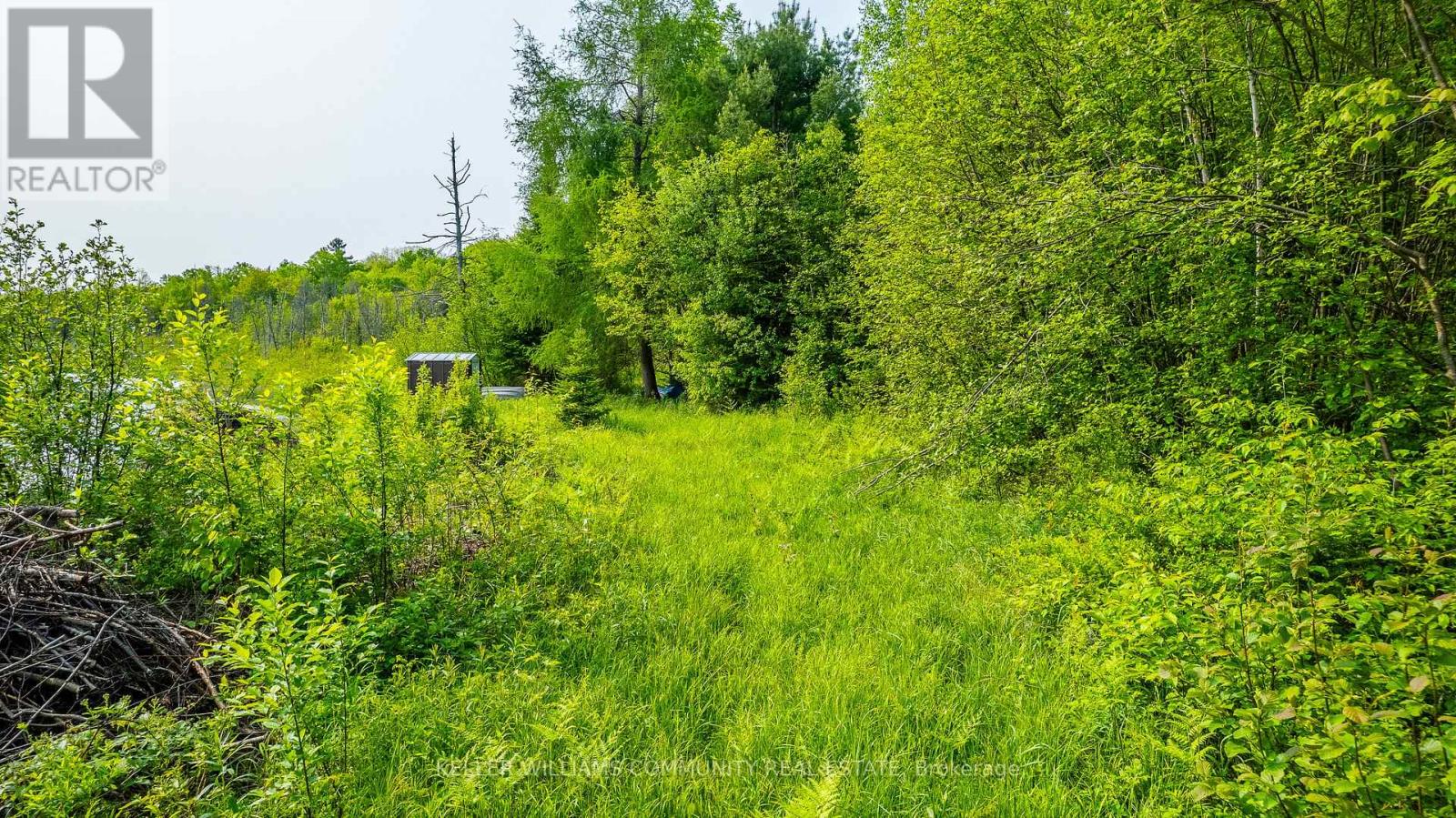 1304 Lower Monmouth Lake Road, Highlands East (Monmouth), Ontario  K0L 2Y0 - Photo 47 - X12474451