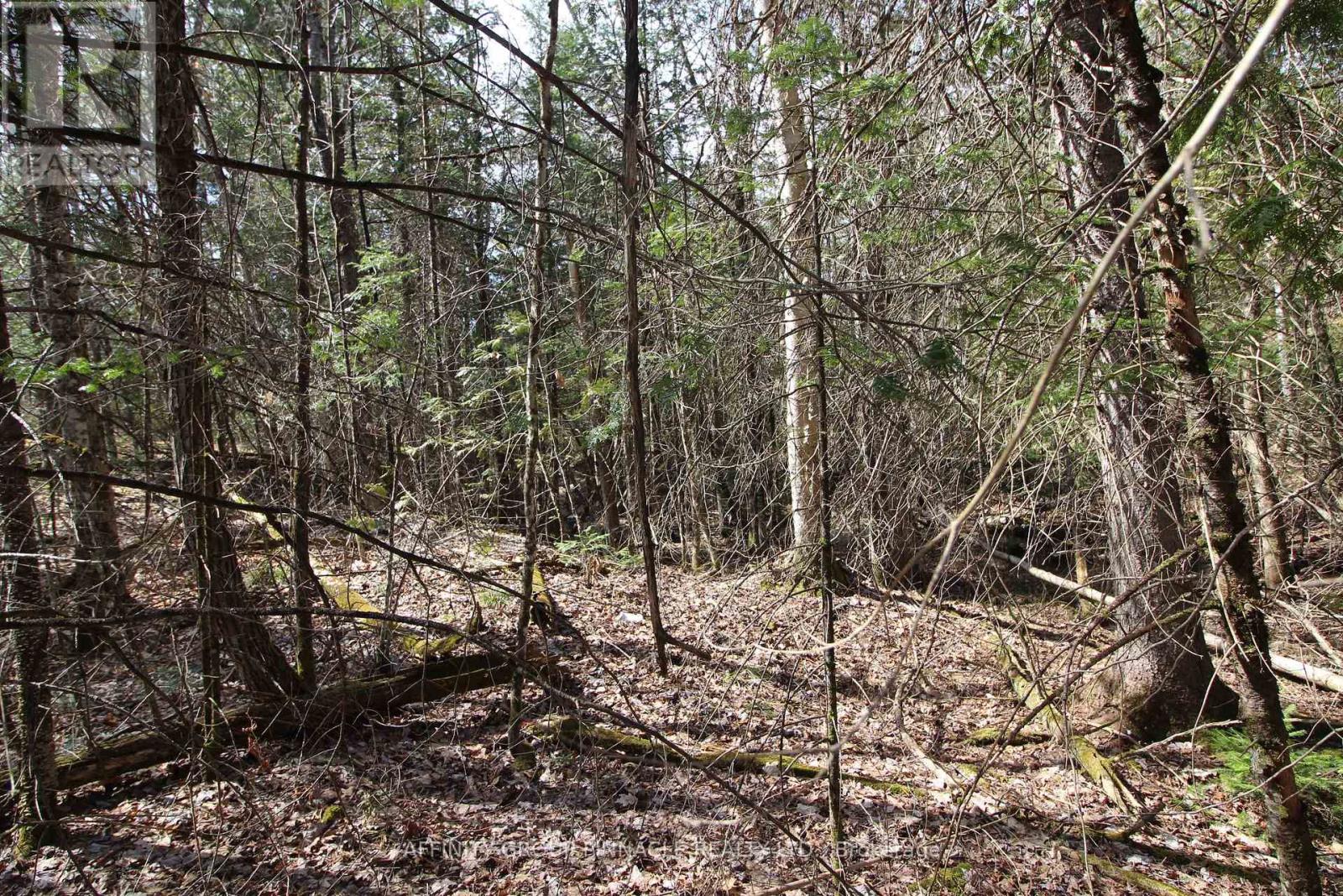 Lot 15 Concession 9, Trent Lakes, Ontario  K0L 1J0 - Photo 3 - X12476268