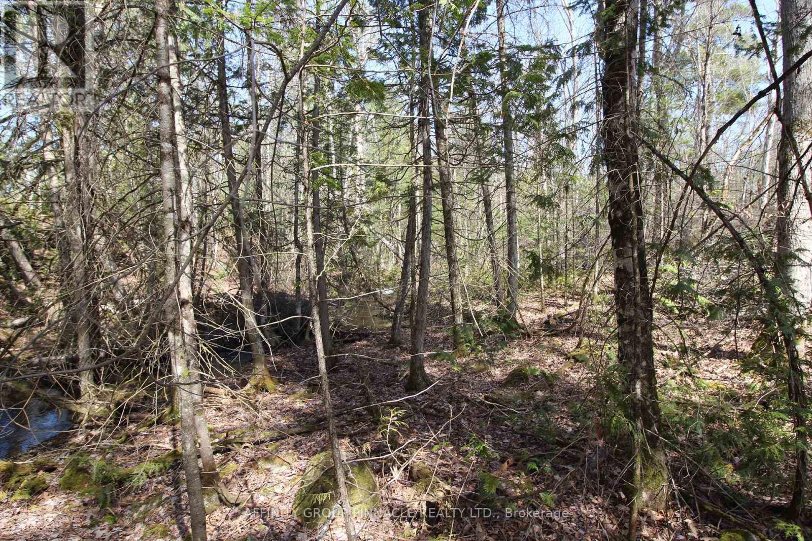 Lot 15 Concession 9, Trent Lakes, Ontario  K0L 1J0 - Photo 4 - X12476268