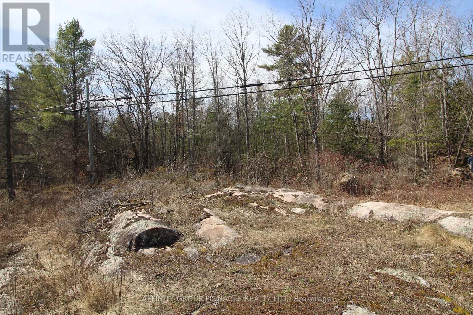Lot 15 Concession 9, Trent Lakes, Ontario  K0L 1J0 - Photo 6 - X12476268