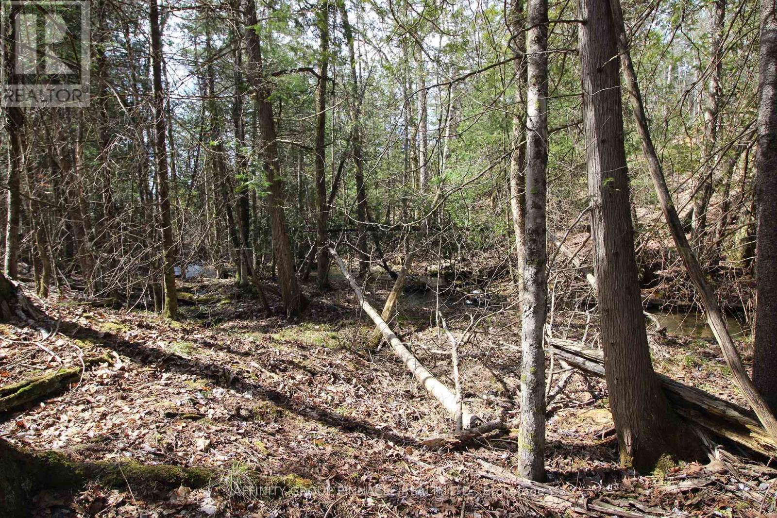 Lot 15 Concession 9, Trent Lakes, Ontario  K0L 1J0 - Photo 7 - X12476268