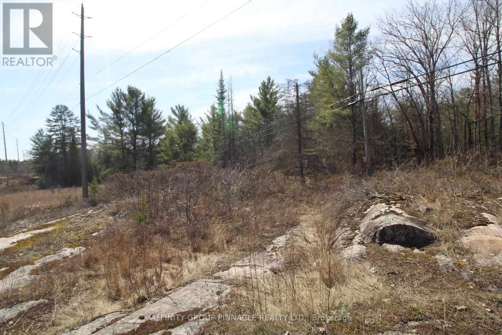 Lot 15 Concession 9, Trent Lakes, Ontario  K0L 1J0 - Photo 8 - X12476268